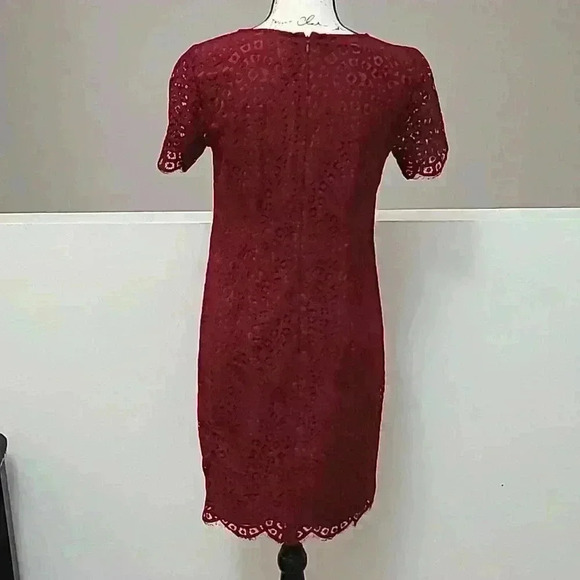 Ann Taylor lace burgundy sheath shift dress - Picture 2 of 3